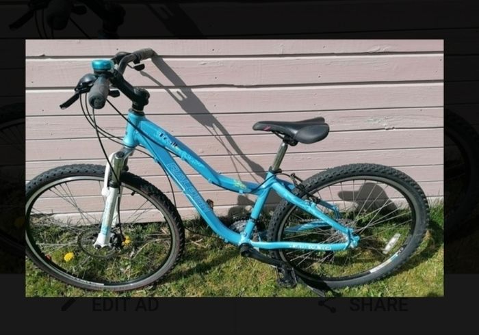 2 bikes 55euro each