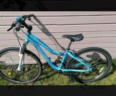 2 bikes 55euro each