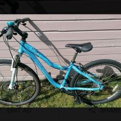2 bikes 55euro each