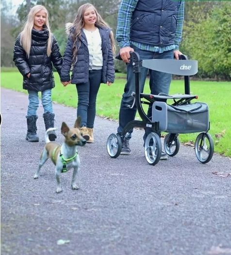 Drive Mobility Walker
