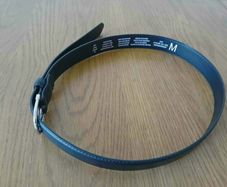 Women's Belt