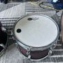 Pearl Decade Maple Image 2