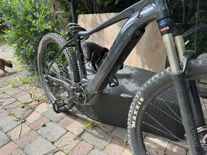 Giant fathom e+ pro 29 size L