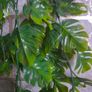 faux hanging foliage Image 3
