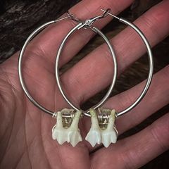 Silver Hoops Earrings with Pretty Deer Teeth Ethically Sourced