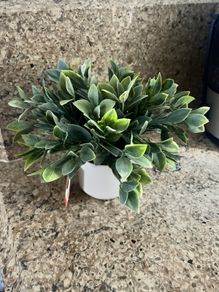 artificial plant in white pot home decor