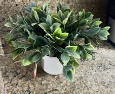 artificial plant in white pot home decor