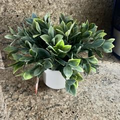 artificial plant in white pot home decor
