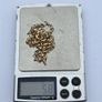 9ct Yellow Gold Belcher Chain Image 6