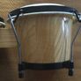 Bongos Image 6