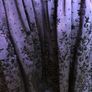 Morgan & Co Purple Dress Image 6