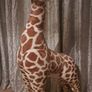 Melissa and Doug Giraffe Image 2