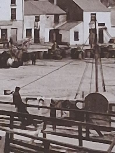 Fish Market Galway