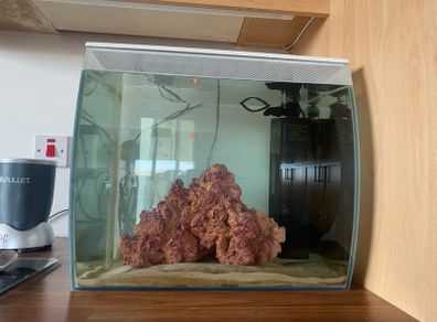 fish tank salt water 60 litre
