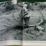 The Irish Wildlife Book Ireland Image 6