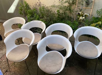6 dining chairs