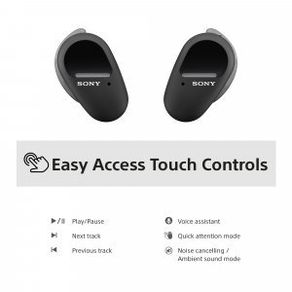 Sony  True Wireless Sports Headphones Black