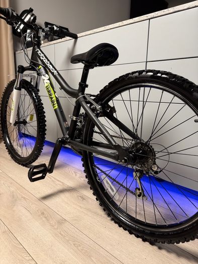 Ridgeback MX Terrain Junior Bike 24 inch