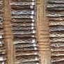 Pieces Cholla Cactus Wood 6"/Chinchilla Chews, shrimps, fishtank Image 3