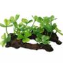 Plastic Aquarium Decorations Multicolor Artificial Plants Image 4