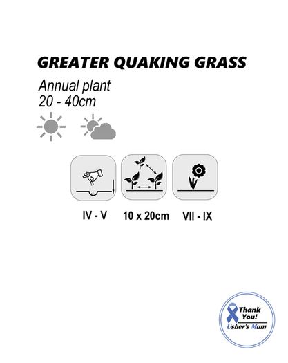 (G) Greater Quaking Grass seeds 2g (184649)