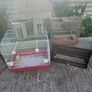 Bird cages Image 3