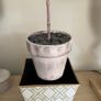 Faux Olive tree in pot Image 4