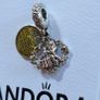 Beauty and the beast Pandora charm Image 5