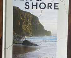 Sea and shore