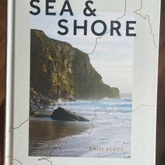 Sea and shore