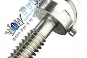 1037 1/4 Long D-Ring Screw Stainless Steel