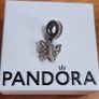 Pandora charm Image 8