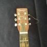 concerter  acoustic guitar Image 3