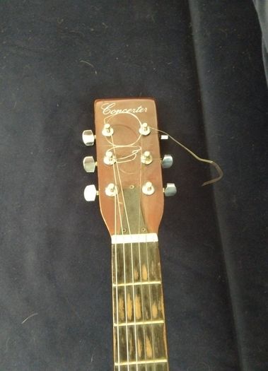 concerter  acoustic guitar