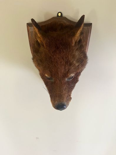 Antique Taxidermy Red Fox Mask
