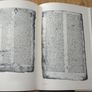 The Tain Translated by Thomas Kinsella from the Irish With Brush Drawings by Louis Le Brocquy Dolmen Editions IX Image 4