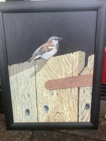 Acrylic painting sparrow framed signed free postage