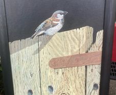 Acrylic painting sparrow framed signed free postage