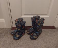 Welly Boots