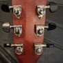 Cort CJ 5X Jumbo Guitar with Yamaha G10 Midi Pickup Image 6