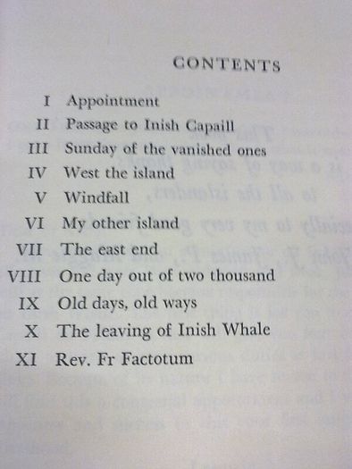 Seven Year Island by Jerome Kiely Ireland Irish