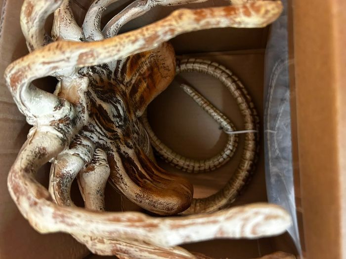 Alien Covenant Facehugger Promotional Replica Limited Edition 866 out of Official RDP Collectible with Certificate