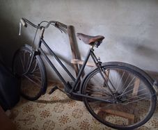 Bicycle. ####on Hold######
