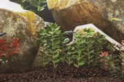Volcanic Rocks 10 kg Red