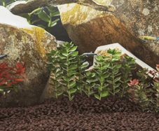 Volcanic Rocks 10 kg Red