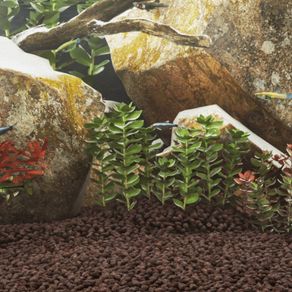 Volcanic Rocks 10 kg Red