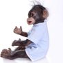 Handmade Detailed Paint Reborn Baby Monkey Newborn Dolls Collectible Art Dolls (FREE POSTAGE) Image 3