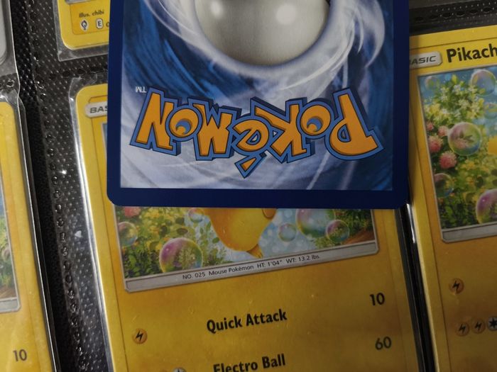 Bibarel ! Illustration Rare ! from Crown Zenith Set ! 2023 ! Pokemon Card !