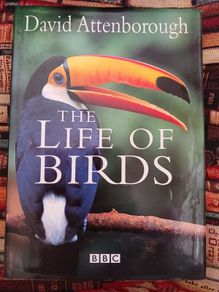 David Attenborough/ The Life of Birds/ BBC/ 1998