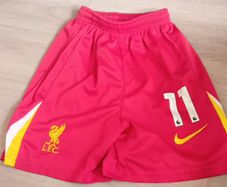 Boys LFC Nike Shorts